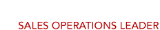 Sales Operations Leader